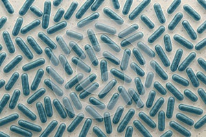 Microscopic View of Bacillus thuringiensis Bacteria