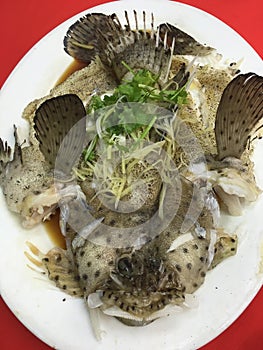 Highly prized Mouse Grouper steamed in Chinese Soy Sauce