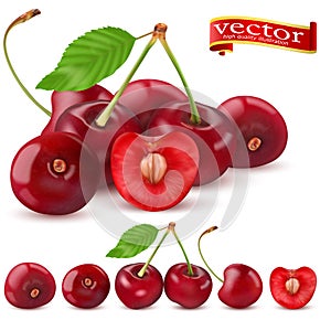 Sweet Vector 3D Realistic Cherry, isolated on white background.