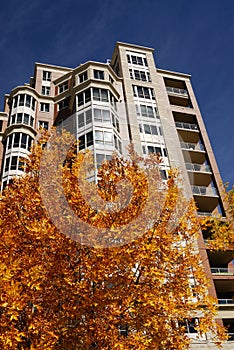 Highrise apartment with autumn leaves photo