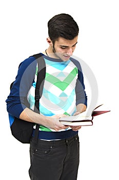 Highschool teenager reading