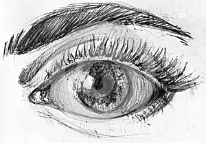 Hight resolution. Black and white drawing of eye and eyebrow.