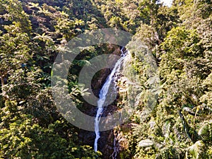 Hight waterfall in the green tropical forest