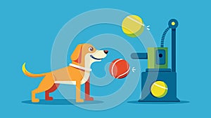 A hightech ball launcher that automatically throws a tennis ball for your dog to fetch ensuring they get plenty of photo