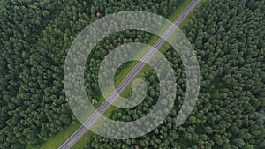 Hightway in the forest. Bird's-eye view