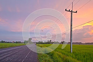 Hightway near nature