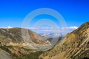 Highway 120, Inyo National Forest, California, USA