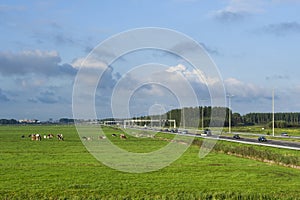 A4 highway along meadow photo