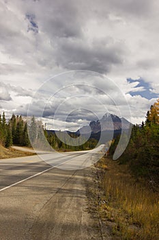 Highway from Banff to Jasper in Canada