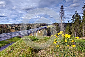 Highway bridge viaduct over the forest stream in Russian country
