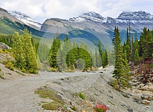 Highway through the Canadian Rockies along the Icefields Parkway between Banff and Jasper photo