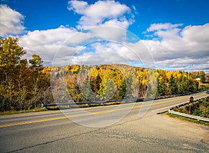 Highway in Cape Breton in fall