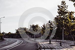 Highway curve road overpass nature landscape background dark tone mist day time street tall lanterns trees bushes