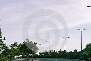 Highway curve road overpass nature landscape background dark tone mist day time street tall lanterns trees bushes