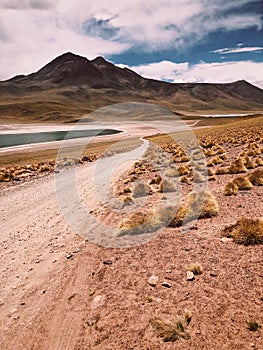 Highway desert san pedro de atacama 2