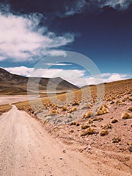 Highway desert san pedro de atacama