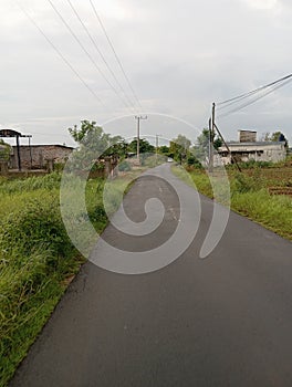 The highway is empty of motorists and empty of housing/buildings, only lots of plants/trees