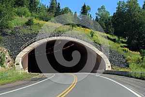 Highway entering a Dark Underground Tunnel