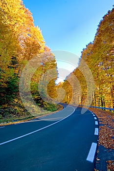 Highway at fall