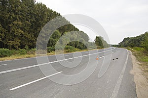 Highway in a forest near Calarasi city 