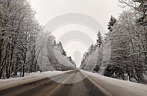 highway with horizon on blue sky and clouds in the daytime at winter with snow covered trees.