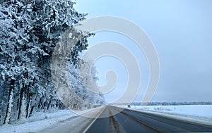 highway with horizon on blue sky and clouds in the daytime at winter with snow covered trees.