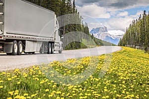 Highway in Jasper National Park photo