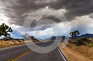 Highway at the Joshua Tree National Park, California, USA