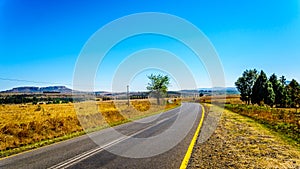 Highway R26 with the fertile farmlands along highway R26, in the Free State province of South Africa