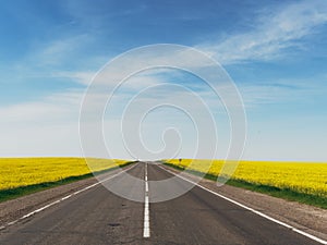 Highway among rapeseed yellow field against a blue sky