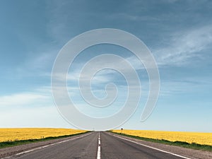 Highway among rapeseed yellow field against a blue sky