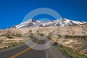 Highway road through Argentinia photo
