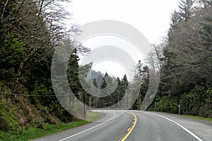 highway road among forest. roadway. oregon empty road. summer route. travel way with nature