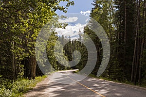 Highway in Rocky mountains, Trans Canada Highway with a perfect asphalt at sunrise in summer. Banff, Alberta, Canada