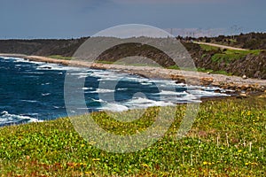 Highway rolls by the beaches of Western NL, Gros Morne National Park, Newfoundland