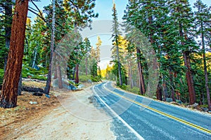 Highway Through Sierra Nevada