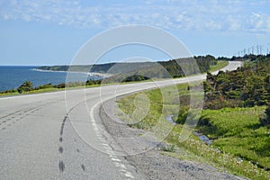 Highway winding through Gros Morne seaside