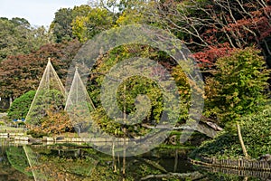 Higo Hosokawa Garden in Japan, Tokyo Landscape photo