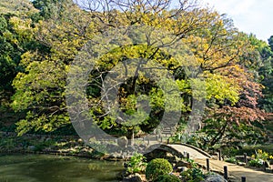Higo Hosokawa Garden in Japan, Tokyo Landscape