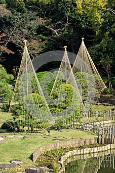 Higo Hosokawa Garden in Japan, Tokyo Landscape photo