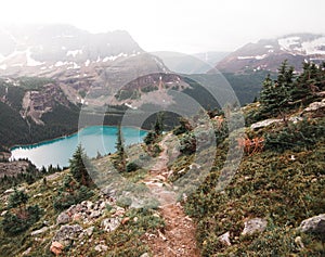 The hike around the Alpine Circuit that surrounds Lake O`Hara