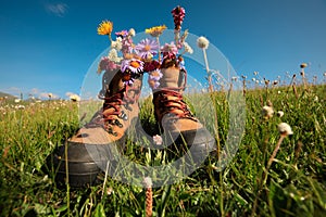 Hike boots with beautiful flowers in grassland