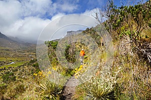 Hike in Colombia