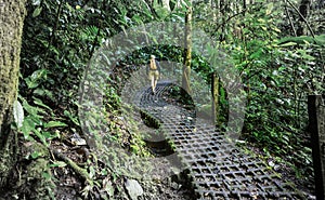 Hike in Costa Rica