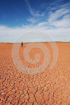 Vagabondo sul deserto 