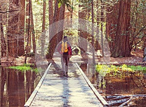 Hike in the forest