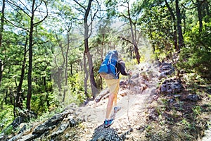 Hike in the forest