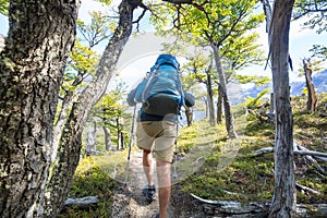 Hike in the forest