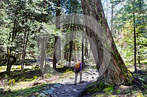 Hike in the forest