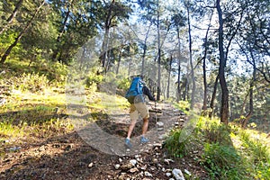 Hike in the forest